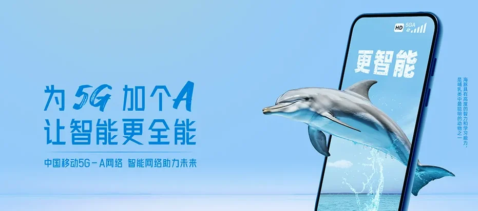 宛城区宛城区金华镇 移动宽带